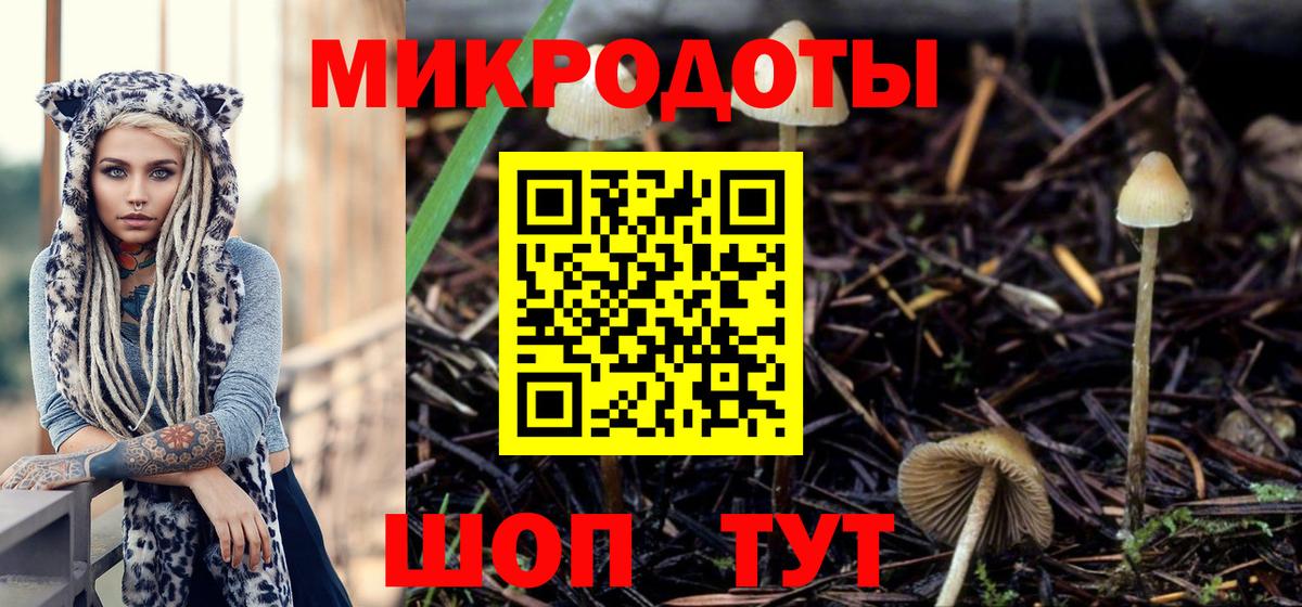Архангельск  Псилоцибиновые грибы Psilocybe  Вход с VPN 